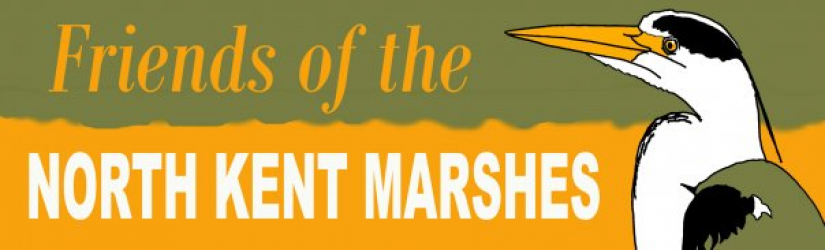 Friends of the north kent marshes